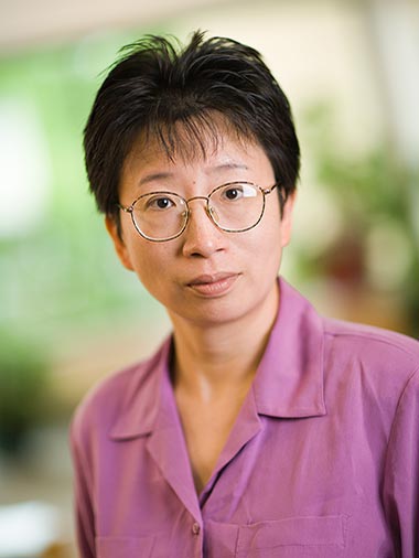 hong li   